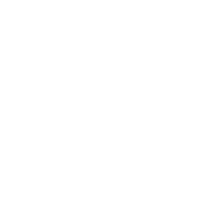 Patinetas