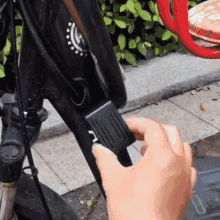 gif5